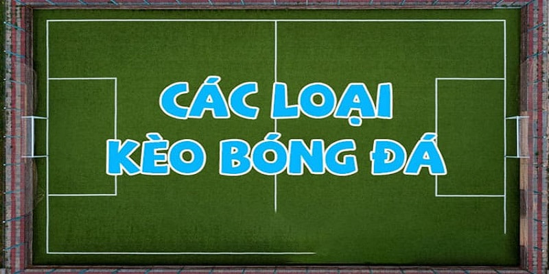 Một số kèo cá cược bóng đá Đức tại Shbetb0.com 
